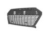1.2 Radiator grille for vehicles